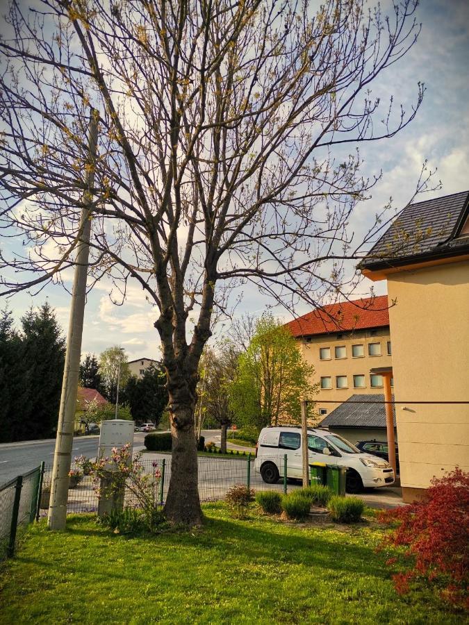Apartma Vila Tara Prebold Exterior photo